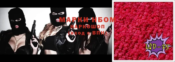 шишки Аркадак