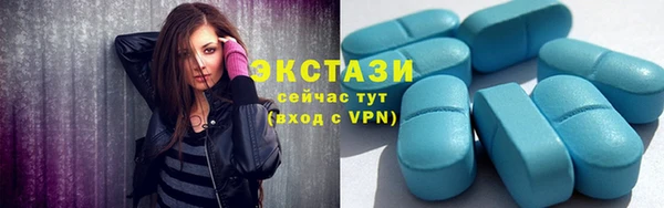 шишки Аркадак