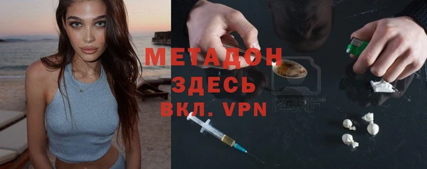 шишки Аркадак