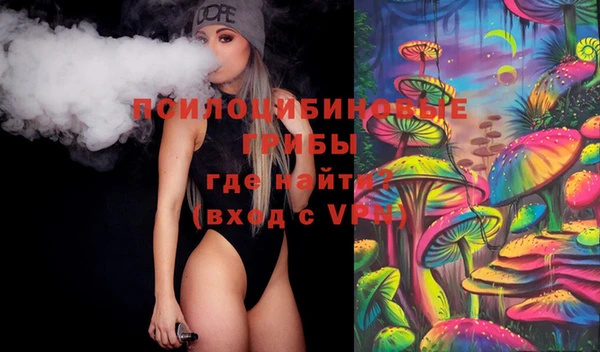 шишки Аркадак