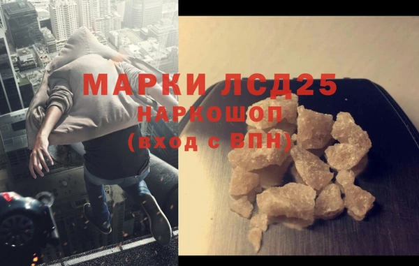 шишки Аркадак