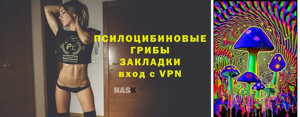эйфоретик Арсеньев