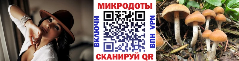 Галлюциногенные грибы мицелий  где купить наркоту  Карабаш 